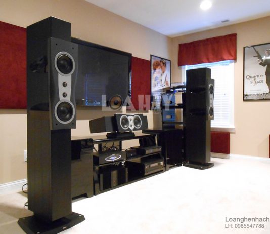 Loa Dynaudio Confidence Center Platinum loanghenhachay