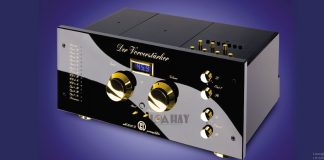 pre ampli mbl 6010d