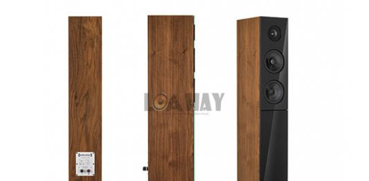 loa audio physic classic 12 hay