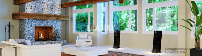 Loa Audio Physic Virgo III