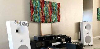 Loa loa Avantgarde Zero TA va ampli viva audio