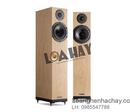 loa spendor a4 hay