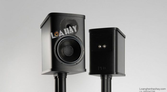 Loa Wilson Benesch P1.0 – Sản phẩm tiêu biểu ở phân khúc nhập môn của Wilson Benesch loa wilson beenesch p1.0