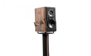 Tham khảo sự kết hợp của ampli Hegel H190 và loa Chario Constellation Delphinus MKII loa chario constellation delphinus mkii dung