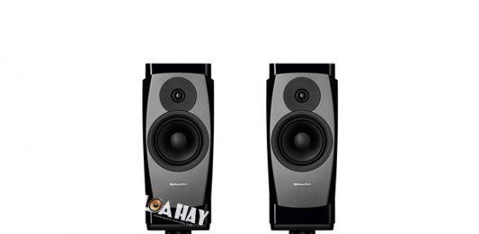 Dynaudio Confidence 20 dep