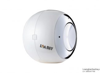 Top 6 loa subwoofer đáng đầu tư cho hệ thống xem phim và nghe nhạc loa B&W PV1D dep