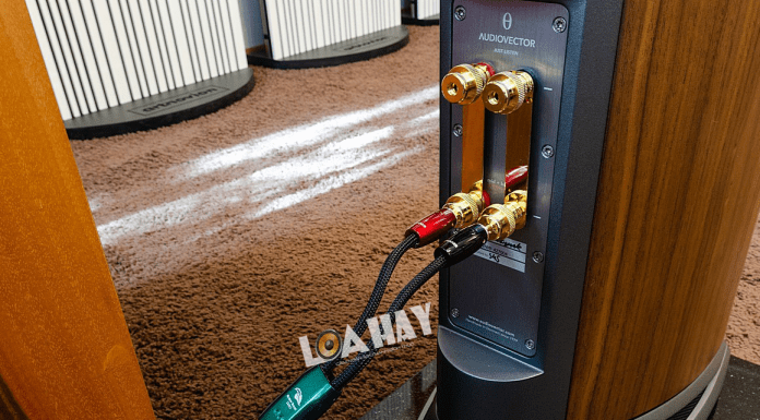 day loa AudioQuest Robin Hood zero dep