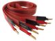 Dây loa Nordost Red Dawn – Sự kết hợp hoàn hảo giữa công nghệ, hiệu suất và tinh tế