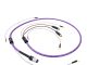 Bứt phá âm thanh với Nordost Frey 2 – Tái hiện từng chi tiết analog hoàn hảo