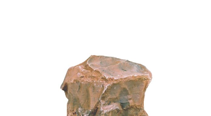Dòng loa giả đá TIC Rock Speaker cho trải nghiệm âm thanh sân vườn độc đáo